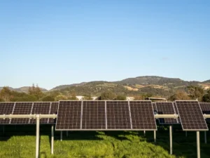 انرژی‌های تجدیدپذیر؛ آینده‌ای سبزتر